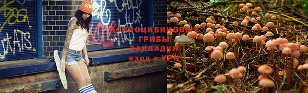 соль курить ск Армянск