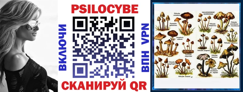 Галлюциногенные грибы Psilocybe  купить закладку  гидра как зайти  Оха 
